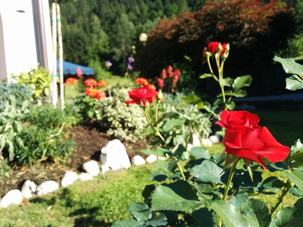 Villetta Val Di Sole Commezzadura Eksteriør billede